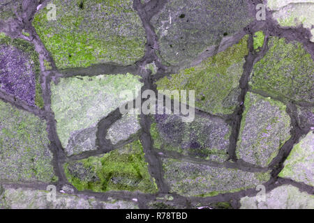 Détail d'un mur de soutènement. Gros plan du mur en pierre sèche construites avec des dalles et murets de formes et tailles irrégulières Banque D'Images