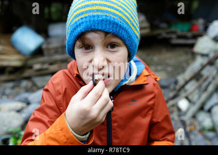 Close-up of a Young boy eating Ama quotidienne de prise de plongée, Mie, Japon Banque D'Images