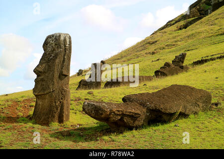 D'innombrables statues Moai géants dispersés sur la pente de volcan Rano Raraku, site archéologique de l'île de Pâques, Chili, Amérique du Sud Banque D'Images