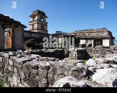 Ruines du palais de l'ancienne ville maya de Palenque au Mexique Banque D'Images