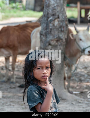 Curieux jeune fille d'un village Hmong avec des vaches à l'arrière-plan qui vivent le long de la rivière du Mékong du nord du Laos, Lao, en Asie du sud-est Banque D'Images