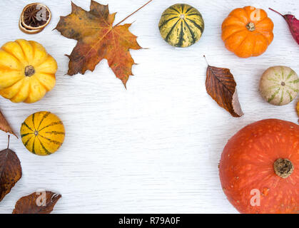 De haut en bas sur un fond blanc avec des citrouilles, courges et courges d'hiver avec des feuilles d'automne sur un fond blanc Banque D'Images