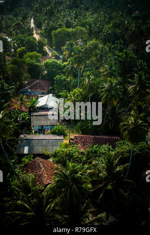 Sri Lanka, Dondra, 02/10/2014 : un groupe de maisons dans la palmeraie de la baie de Dondra photographié depuis le sommet du phare Banque D'Images