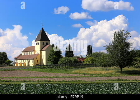 Église Sankt Georg avec champs de légumes sur l'île reichenau dans le bodensee Banque D'Images