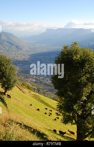 Une vue de la vallée de l'Adige de Merano à Bolzano, debout à la mountain inn 'Thalbauer" (Meran, le Tyrol du Sud, Italie) Banque D'Images