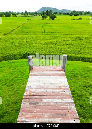 Un pont de bois en vert champ de riz en Thaïlande. Banque D'Images