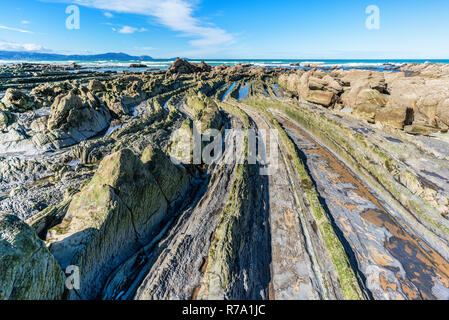 Détail de la côte à falaises Barrika, Pays Basque Banque D'Images