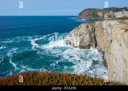 Détail de la côte des falaises, Bizkaia, Pays Basque Banque D'Images