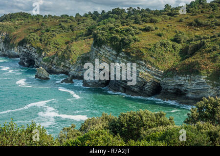 Détail de la côte des falaises, Bizkaia, Pays Basque Banque D'Images