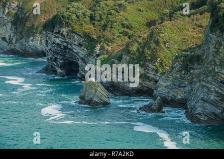 Détail de la côte des falaises, Bizkaia, Pays Basque Banque D'Images