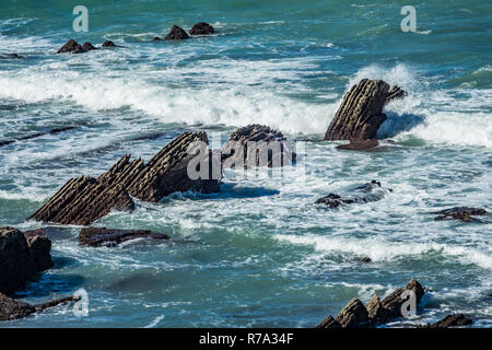 Détail de la côte à falaises Barrika, Pays Basque Banque D'Images