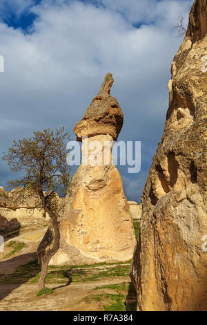 Les falaises de pierre maisons de fées Banque D'Images