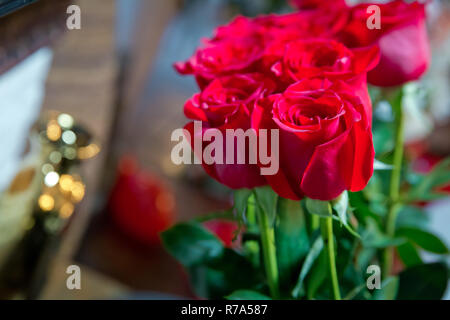 Fleurs roses rouges avec valentine festival et beau bouquet flou contexte . 8 Marc . De très belles fleurs roses rouges . Soft box shot Banque D'Images