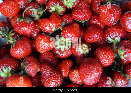 Un bouquet de fraises, close-up Banque D'Images