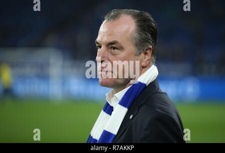 Gelsenkirchen, Allemagne. 05Th Dec 2018. firo : 08.12.2018 Football, 1.Bundesliga saison 2018/2019, le FC Schalke 04 - Borussia Dortmund BVB Clemens Tonnies, Portrait | Crédit : dpa/Alamy Live News Banque D'Images