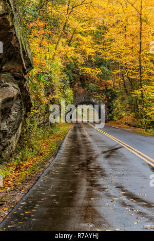 Shot vertical d'un tunnel de Smoky Mountain à l'automne. Banque D'Images