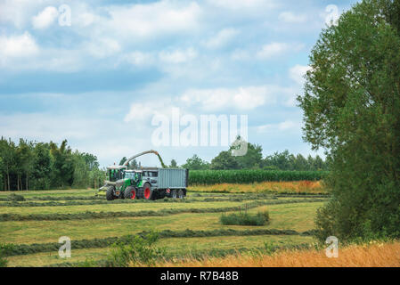 La récolte de l'herbe tondue véhicules agricoles Banque D'Images