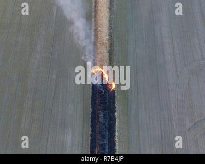 La combustion de l'herbe sèche le long du canal d'irrigation. La fumée et la flamme de l'herbe sèche. Brûlé de l'herbe sèche. Banque D'Images