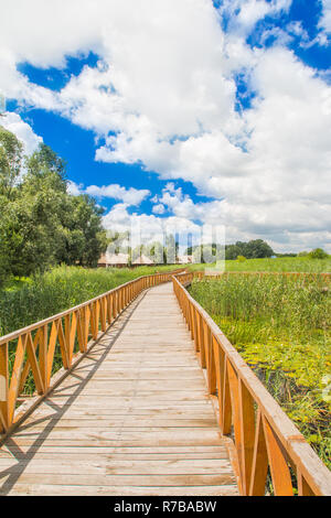 La Croatie, la Baranja, Kopacki Rit nature park promenade en bois, vue sur la belle campagne paysage, ciel nuageux Banque D'Images