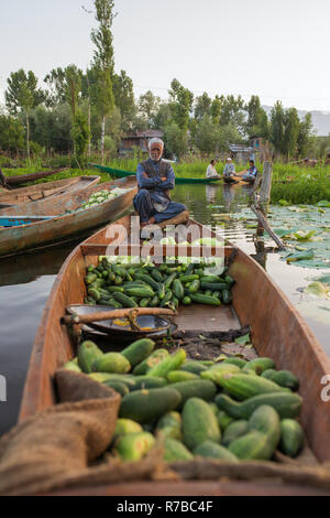 Srinagar, Inde - 16 juin 2017 : les vendeurs de légumes non identifiés en tenant leurs produits vers le marché flottant tôt le matin sur le lac Dal à Srina Banque D'Images