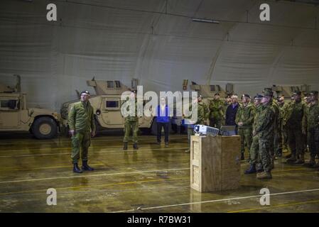 Le lieutenant-colonel Sveinn Arild Ivarrud, chef de l'organisation logistique de la Défense Norvégienne/Marine Expeditionary Brigade section, mémoires des Marines américains et des soldats norvégiens dans une cave site en Norvège, le 9 mai 2017. Les Marines ont visité le Marine Corps Programme de prépositionnement Norvège site au cours d'une conférence du commandant. MCPP-N grottes store equipment pour des temps de réaction plus rapide pour défendre alliés de l'OTAN. Banque D'Images