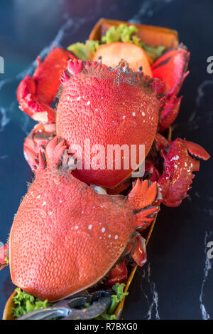 Crabe Grenouille rouge Banque D'Images