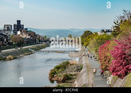 Paysage autour de la rivière Kamo, taches populaires pour les résidents et les touristes. Situé dans le quartier de Gion, Kyoto, Japon Banque D'Images