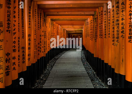 Un sentier pédestre mène à travers un tunnel de torii gates au Sanctuaire Fushimi Inari, un important sanctuaire Shinto dans le sud de Kyoto. Il est célèbre pour ses thous Banque D'Images