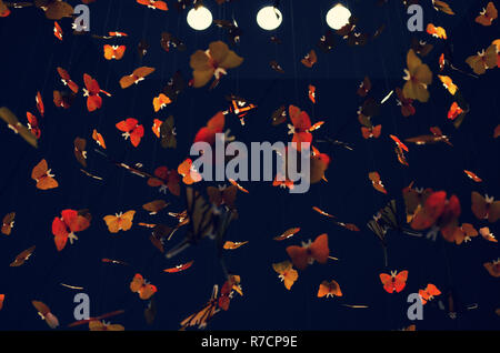 Rio de Janeiro, Brésil, le 10 juin 2015 : Quinta da Boa Vista parc municipal. Site historique où la famille royale vivait dans le 19e siècle. Banque D'Images