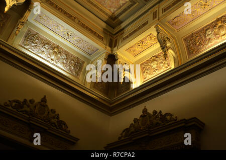 Rio de Janeiro, Brésil, le 10 juin 2015 : Quinta da Boa Vista parc municipal. Site historique où la famille royale vivait dans le 19e siècle. Banque D'Images