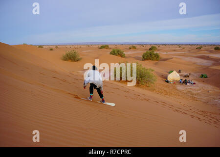 Zagora desert, Sandboarding, sandboard, vacances, M' Hammid, Maroc, Afrique, désert, excursion à dos de chameau, ses dunes de sable Banque D'Images