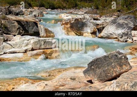 Marble Canyon, Kootenay NP, Canada Banque D'Images