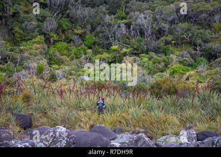 Le Parc National de Fiordland, Nouvelle-Zélande Banque D'Images