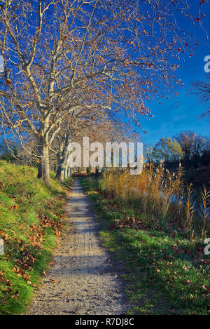 Canal du midi en hiver, Languedoc, France Banque D'Images