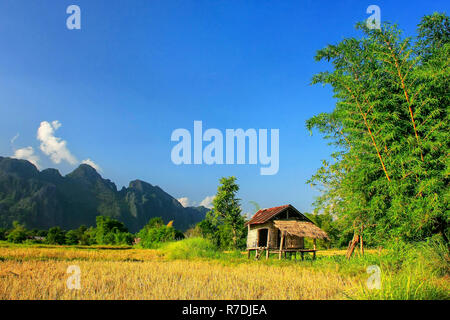 La cabane d'agriculteur sur un champ à Vang Vieng, Laos. Vang Vieng est une destination populaire pour le tourisme d'aventure dans un paysage karstique calcaire. Banque D'Images