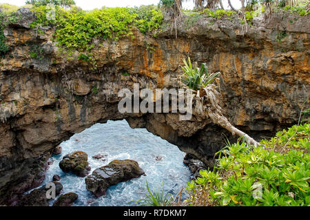 Terre Hufangalupe pont naturel sur la partie sud de l'île de Tongatapu à Tonga. Il a été formé lorsque le toit d'une grotte marine s'est effondré Banque D'Images