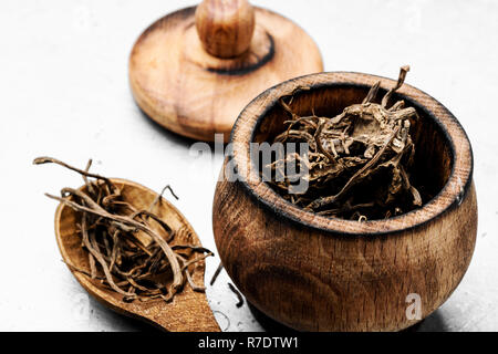 Rhizomes séchés et des racines de la valériane médicinal. Herbes médicinales Banque D'Images