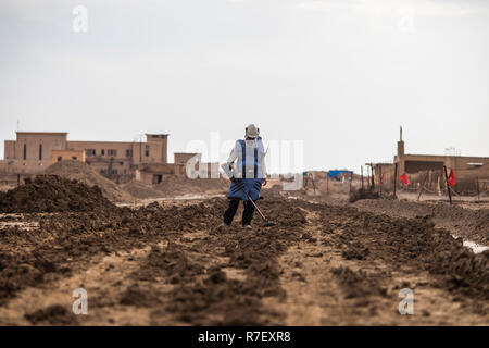 Jéricho, Palestine. Zones autonomes. 09Th Nov, 2018. Un travailleur israélien recherche les mines de la région de Qasr al-Yahud 'Château des juifs', le troisième plus haut lieu saint dans le Christianisme, considéré comme le site du baptême de Jésus Christ. Les travaux de compensation par l'organisme de bienfaisance anti-mines Halo Trust et les autorités israéliennes dans la région continue de déminage autour de sept églises anciennes abandonnés sur la rive occidentale du Jourdain, au sud de Jéricho, depuis la guerre des Six Jours de 1967. Credit : Ilia Efimovitch/dpa/Alamy Live News Banque D'Images