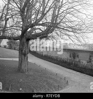 Le Mur de Fédérés Mur des communards) est représenté sur le Père Lachaise, le plus grand cimetière de Paris, France, en novembre 1970. 147 ont été exécutés ici au cours de la lutte de la Commune de Paris en 1871. Le monument est un symbole de la lutte pour de freedoom le peuple et contre la répression de l'état français pour les gauchistes. Sur le cimetière du Père Lachaise, de nombreux personnages historiques célèbres sont enterrés. Photo : Wilfried Glienke | conditions dans le monde entier Banque D'Images