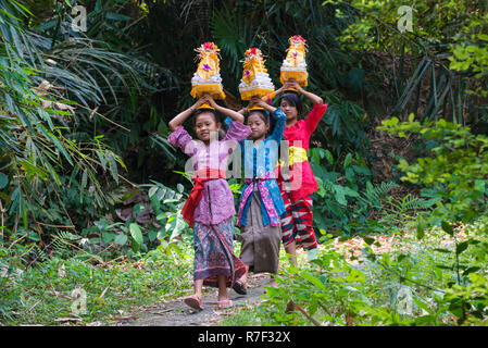 Trois filles au temple, faisant des offrandes pour une cérémonie sur leurs têtes, Bali, Indonésie Banque D'Images