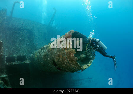 Plongée sous marine à la recherche de shipwreck 'Giannis D', Red Sea, Egypt Banque D'Images