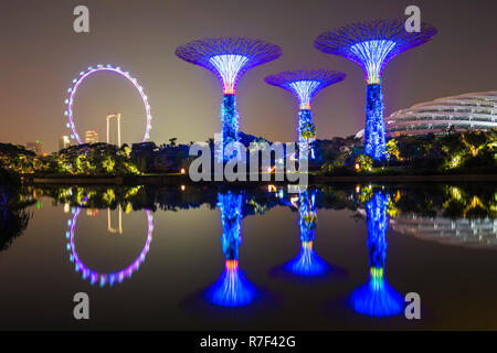 Supertrees, jardins de la baie se reflétant dans l'eau la nuit, Singapour Banque D'Images