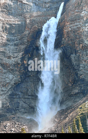 Les chutes Takakkaw, Yoho NP, Canada Banque D'Images