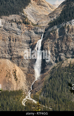 Les chutes Takakkaw, Yoho NP, Canada Banque D'Images