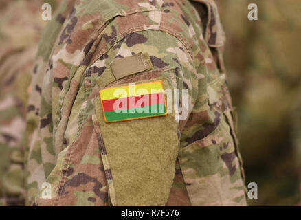 Drapeau de la Fédération démocratique de la Syrie du Nord (DFNS) sur les soldats du bras. Drapeau de la Fédération démocratique de la Syrie du Nord sur les uniformes militaires (collage) Banque D'Images