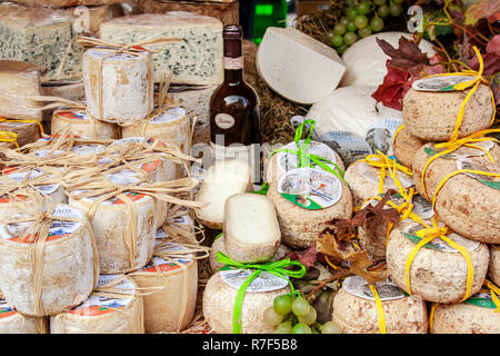 À ALBA - LE 15/04/2017- du fromage et du vin, des produits typiques de Piedmonte, Italie Banque D'Images