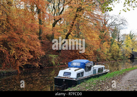 L'automne sur l'échelle d'écluses Marple 6.11.18 un bateau est amarré le long du chemin de halage, comme les feuilles des arbres ont changé d'orange et d'or. Banque D'Images