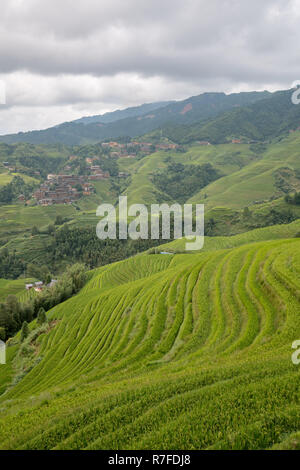 Longji Jinkeng terrasse de riz dans le Guangxi, Chine. Un village traditionnel avec une population minoritaire, restauration aux touristes visitant.13 Septembre 2017 Banque D'Images