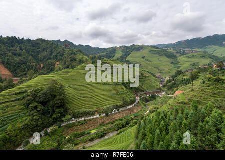 Longji Jinkeng terrasse de riz dans le Guangxi, Chine. Un village traditionnel avec une population minoritaire, restauration aux touristes visitant.13 Septembre 2017 Banque D'Images