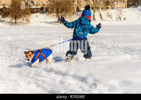 Le chien et le garçon avec le tour de stockage laisse tirer dans des directions différentes Banque D'Images